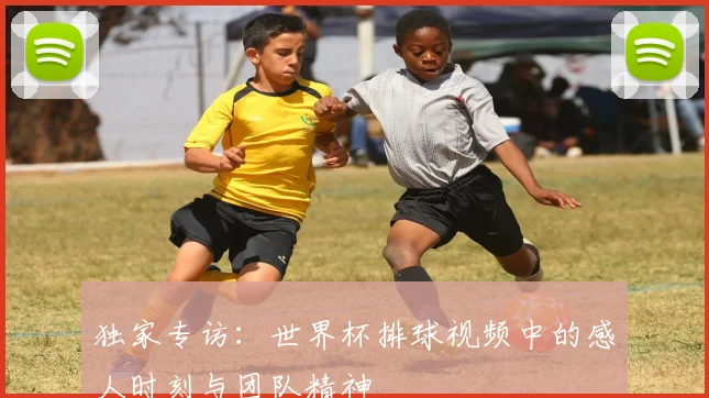独家专访:世界杯排球视频中的感人时刻与团队精神