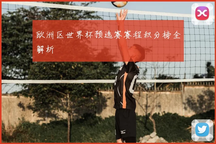 欧洲区世界杯预选赛赛程积分榜全解析