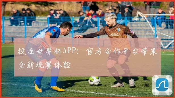 投注世界杯APP：官方合作平台带来全新观赛体验