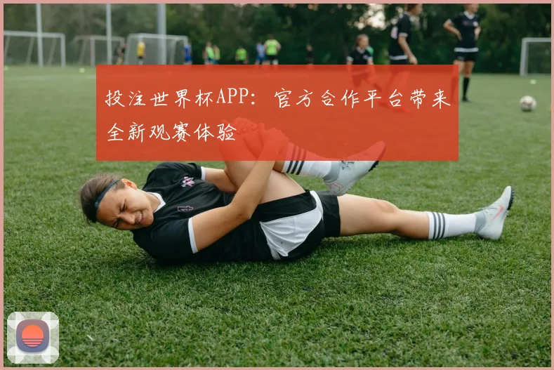 投注世界杯APP：官方合作平台带来全新观赛体验