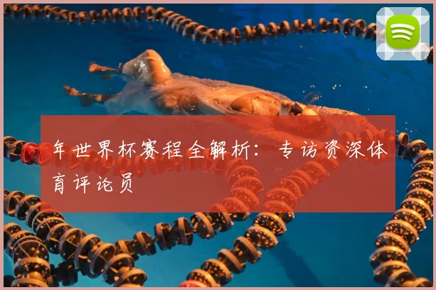 年世界杯赛程全解析：专访资深体育评论员