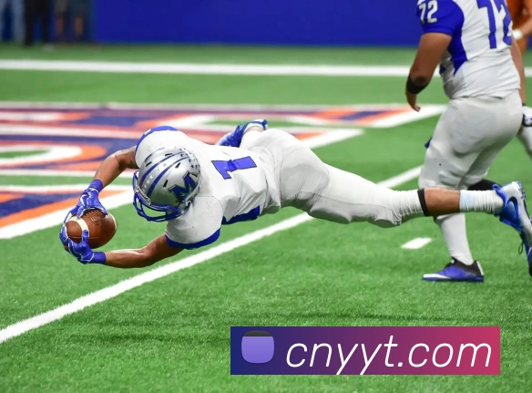 mksports在线登录入口APP 高清赛事图